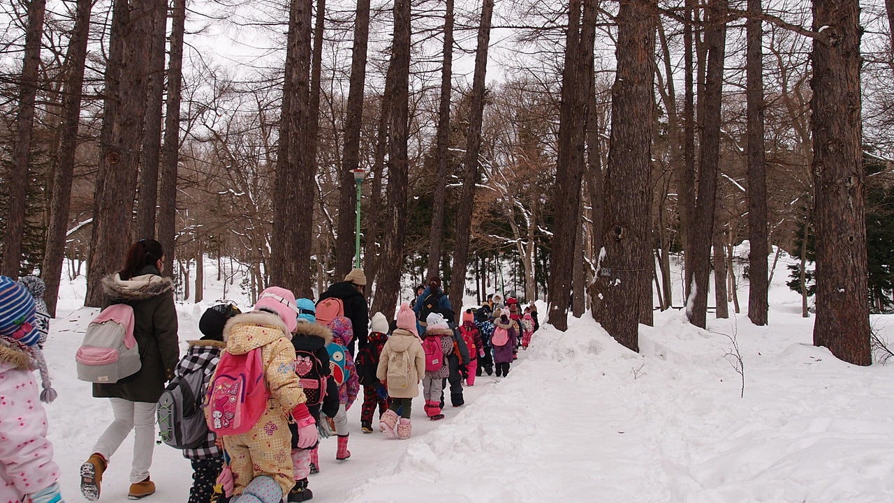 北海道神宮の林道を歩きました